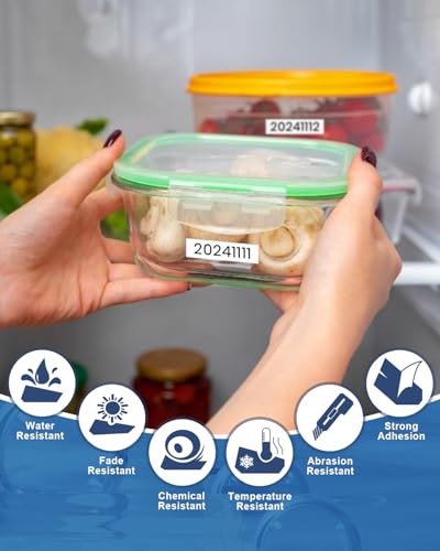 PT-D220 D210 D200 H100 Label Tape TZe-231 TZe231 Compatible with Brother | Label Maker Tape P Touch 12mm 0.47 Inch Laminated White TZe TZ Tape Ptouch Refills, 1/2 Inch(12 mm) * 8m, 6-Pack - color: Black on White, size: 1/2 Inch(12mm)