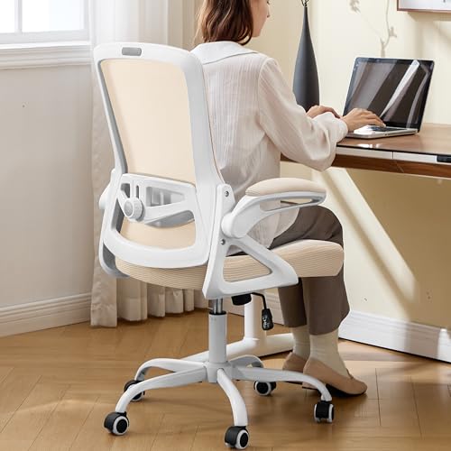 Ergonomic Office Chair, Desk Chair with Adjustable Lumbar Support, Breathable Mesh Comfy Computer Chairs with Flip-up Armrests Executive Task Chair for Adults Home Office (Buff Beige) - color: Buff Beige