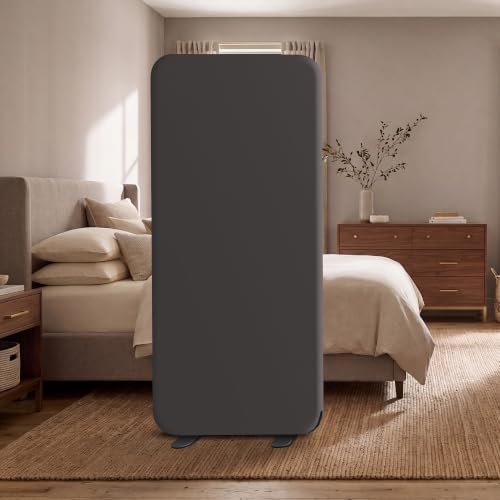 DECOLAB Room Divider Panel, Standing Privacy Partition Wall 29"x65", Iron - color: Iron