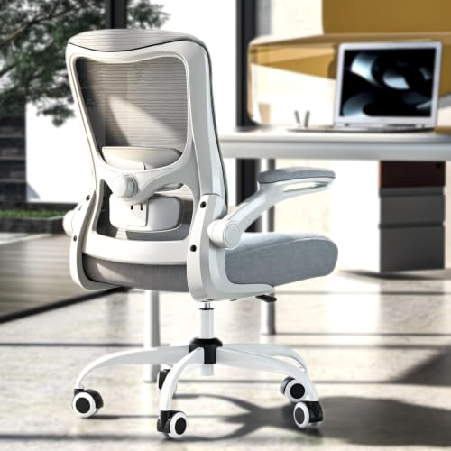 Ergonomic Office Chair for Long Hours, Adjustable Padded Lumbar Support for Lower Back Relief, 330 lb Capacity, Comfortable Computer Desk Chair for Home Office, Work & Study