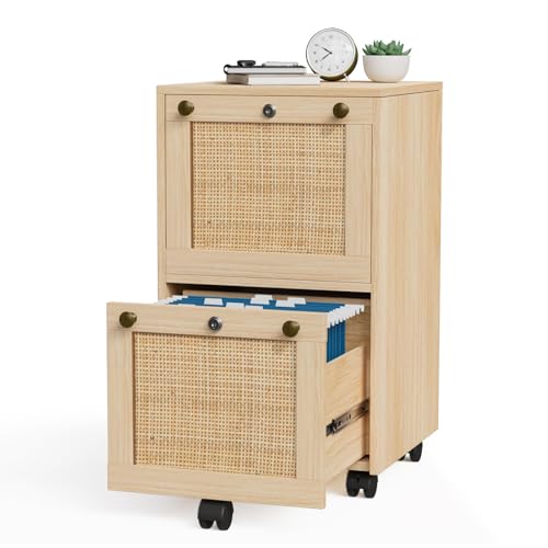 VINGLI 2 Drawer File Cabinet with Lock, Rolling File Cabinets for Home Office, Small Printer Stand, Wood Rattan Oak File Organizer, Under Desk Filing Cabinet on Wheels for Folders with Tabs - color: Small Oak, size: Standard 2 Drawer