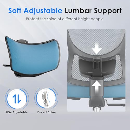 Soohow Ergonomic Office Chair, High Back with 3D Armrest, Black & Navy