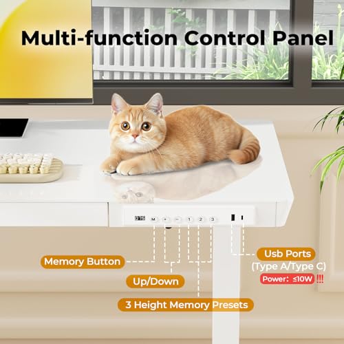 40" Glass Standing Desk with Drawer, Electric Stand up Desk - color: White Glass-top, size: 40"