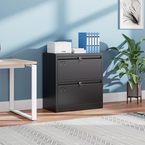 METAN 2 Drawer Lateral File Cabinet with Lock, Assembly Required