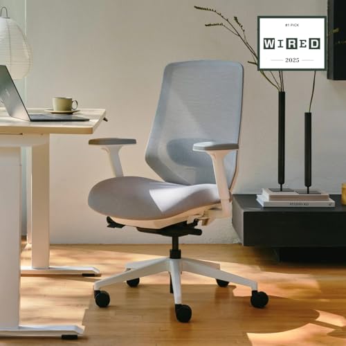 Branch Ergonomic Chair Pro, Mesh Office Chair with 14 Points of Adjustment | Height, Depth and Tilt Adjustable, 5D Armrests, Forward Tilt, Smooth Recline, and Lumbar Support, Mineral - color: Mineral