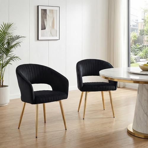Velvet Dining Chairs Set of 2, Upholstered Dining Room Chairs with Gold Metal Legs, Modern Accent Kitchen Chairs with Curved Backrest for Living Room, Black - color: Black 2