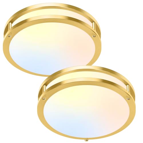 10 Inch LED Flush Mount Ceiling Lights, Gold Kitchen Lighting Fixtures with 2700K/3000K/4000K/5000K/6500K 5 Color Adjusted, Dimmable Modern Round LED Lights for Bedroom Living Room Laundry, 2-Pack - color: Brushed Gold-5CCT-2, size: 10 inch