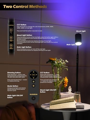 GLOWRIUM 17W LED Reading Floor Lamp with Remote, 67" Dimmable Standing Lamp | Dual-Side Reading Light & Mood Light, 4 Color Temps 7 Brightness, Touch & Remote Control, Adjustable Gooseneck, Task lamp - style: 2-in-1 Lamp (H2)
