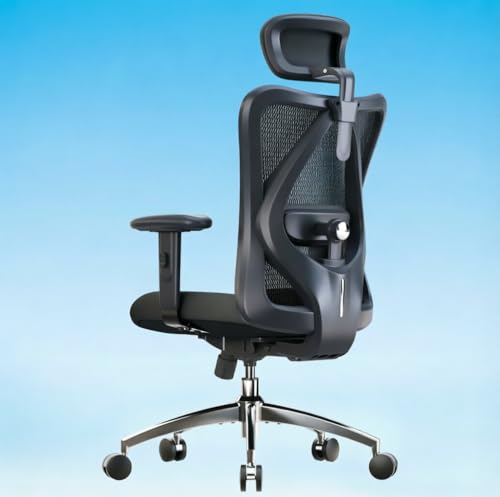 SIHOO M18 Ergonomic Office Chair, Adjustable Headrest & Lumbar Support | High Back Mesh Desk Chair, Height Adjustable Armrests, Swivel Computer Chair for Home Office, Deep Black - color: Deep Black, size: Pack of 1