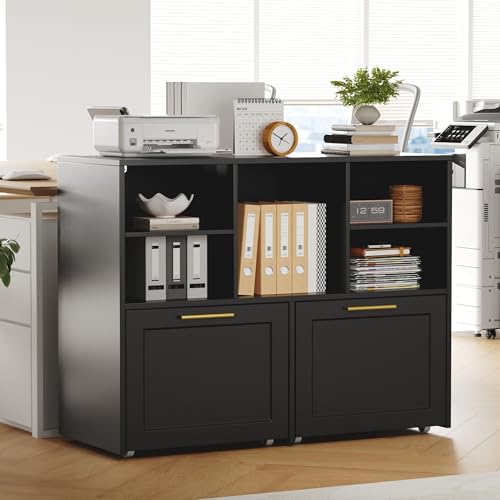 Lateral File Cabinet with 2 Drawers, Modern Filing Cabinet with Open Storage Cubes, Office Storage Cabinet Fits Letter/A4/ Size, Wooden Printer Stand for Home Office, Black - color: Black