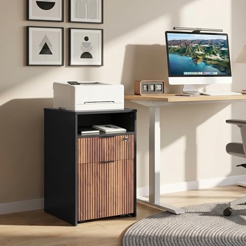 CHOEZON 2 Drawers File Cabinet with Open Storage, Black and Dark Walnut