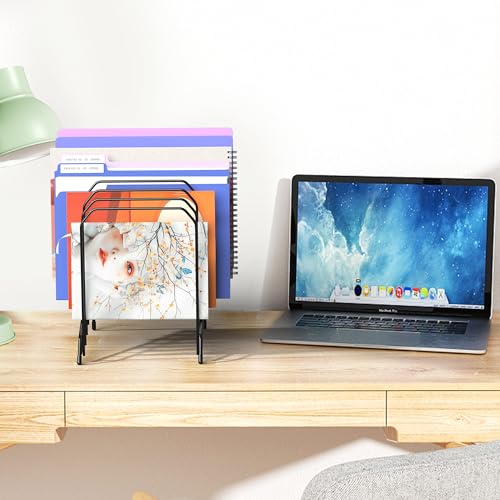 Gawerk Incline Desk Magazine Folder Holder File Organizer with 8-Section - style: 1 Pack