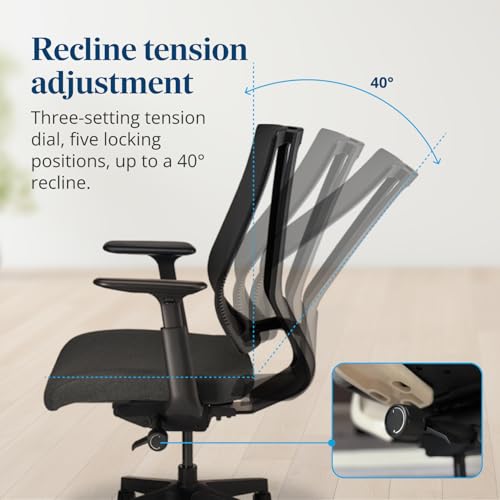 Clarksville Ergonomic Office Chair Adjust Lumbar Support Black | Mesh Back Office Chair, Synchro-Tilt Recline Home Office Desk Chairs with 3-Way Arms, 300 lb Capacity Computer Chair - color: Black