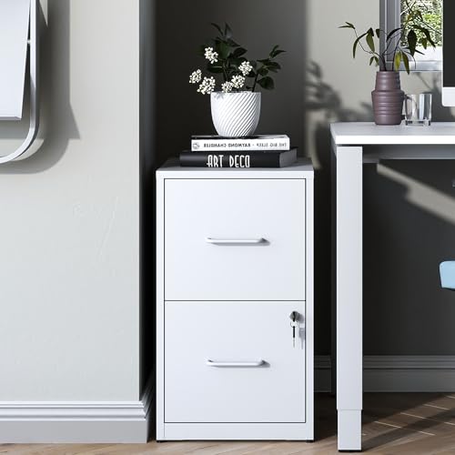 2 Drawer File Cabinet with Lock, Vertical Filing Cabinets for Home Office, Metal Storage Cabinet, Heavy Duty File Cabinet for Under Desk, Amsseble Required, White - color: White, size: 2 Drawers-New-Under Desk