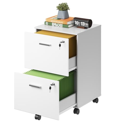 DEVAISE 2 Drawer File Cabinet with Lock, Mobile Printer Stand, White - color: White