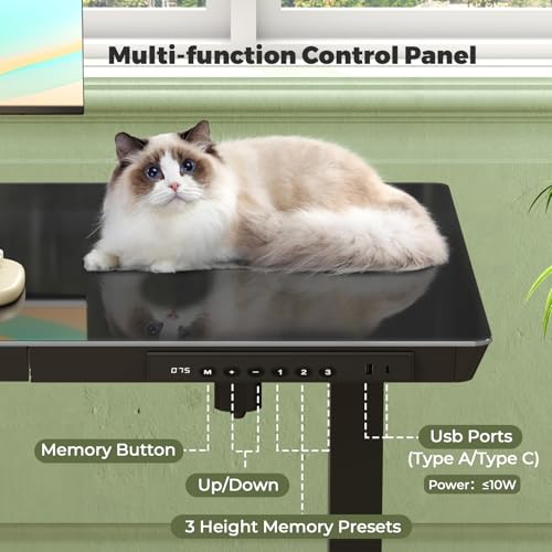 35" Electric Standing Desk with Drawer, One-Piece Glass Top - color: Black Glass-top, size: 35"