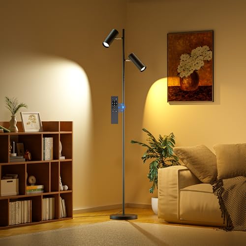 SIBRILLE Spotlight Floor Lamp, Tall LED Standing Lamp with Remote/Touch Control, 2700K-6500K, 350°Rotating Head Standing Lamp, Reading Floor Lamp for Living Room, Bedroom, Office & Wall Art, Dual Head - style: Dual-Tube