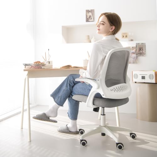 NEO CHAIR Office Desk Chair, Ergonomic Mesh with Flip-Up Armrests, Grey - color: Grey