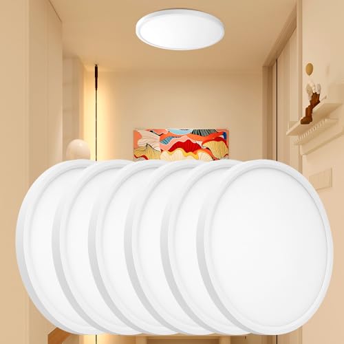 6PK 12 Inch LED Flush Mount Ceiling Light - Dimmable 0.67in Thickness Round, 24W 5CCT in One 2700K/3000K/4000K/5000K/6000K Surface Mount LED Light Fixture for Laundry, Closet, 12 Inch 6Pack White - color: White-6 Pack, size: 12 Inch