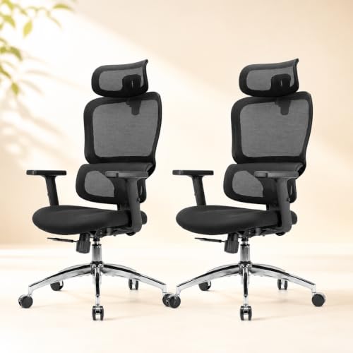 SIHOO M56 Ergonomic Office Chair, Dual Backrest, Adaptive Lumbar Support - color: Dark Black, size: Pack of 2