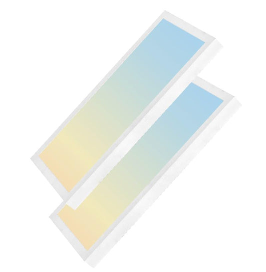 1x2 FT LED Flat Panel Light Surface Mount, 20W/30W/40W 2500-5000LM 5CCT 3000K-6500K Selectable, Triac Dimmable Ceiling Light Fixtures, Flush Mount for Kitchen Garage, Office, Home, White 2-Pack - size: 1X2 FT LED 2 PACK WHITE