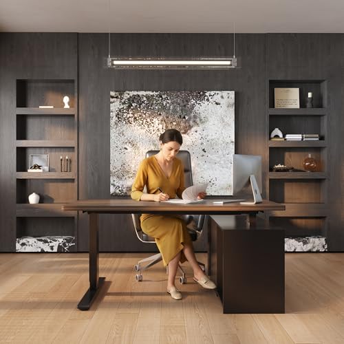FLEXISPOT 55" Executive Standing Desk with Drawers & CPU Cabinet - color: Black Walnut, size: 55"x28"