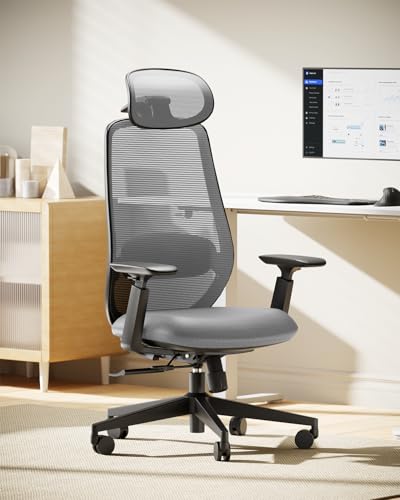 ProtoArc EC200 Ergonomic Office Chair with Adjustable Seat Depth, Grey | Lumbar Support, High-Back, Mesh Desk Chair, Home Office 8+ Long Hours Sitting, For Remote Workers & Programmers - color: Grey
