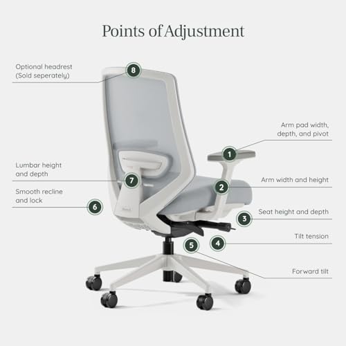 Branch Ergonomic Chair Pro, Mesh Office Chair with 14 Points of Adjustment | Height, Depth and Tilt Adjustable, 5D Armrests, Forward Tilt, Smooth Recline, and Lumbar Support, Mineral - color: Mineral