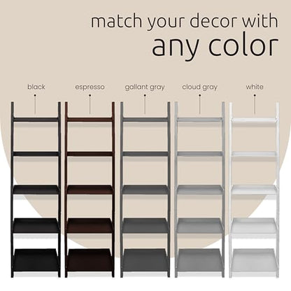kieragrace Providence Hadfield Leaning Shelf - Matte Paint Black, 18" by 66" - color: Black