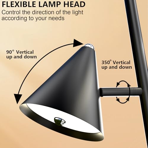 Black Floor Lamp for Office and Living Room, with 3 Rotatable LED Lights, Magnetic Remote, 5 Color Temp - color: Black