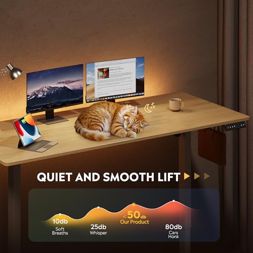 DEVAISE 63 Inch Standing Desk with Split Top, Computer Desk, Maple - color: Maple, size: 63 Inch