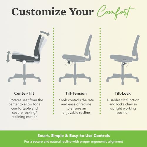 HON Prominent Ergonomic Office Chair, Adjustable Arms, Desk Chair, Black - color: Mesh Back - Standard Tilt