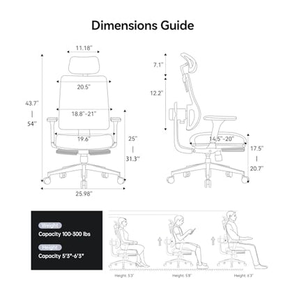 Newtral Ergonomic Office Chair - Home Office Desk Chair with Adaptive Lumbar Support, with Footrest, 4D Armrest, Adjustable Seat Depth & Height - color: Black, size: 2D Headrest