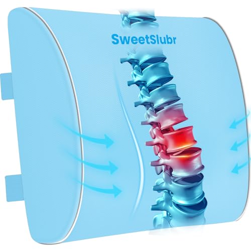 SweetSlubr Lumbar Support Pillow for Office Chair(Light Blue,Large) - color: Light Blue, size: Large