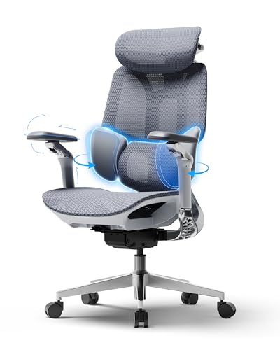Hbada E3 Pro 2026 Edition Ergonomic Office Chair, Mesh Desk Chair with 3-Zone Floating Lumbar Support, Upgraded 4D Headrest, 720° Armrests, Grey - color: Space Gray