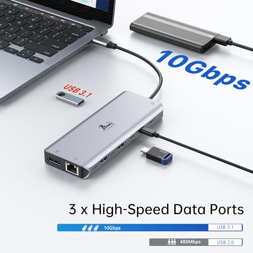 LIONWEI Docking Station Dual Monitor 4K, 13-in-1 USB C Dock for Laptop Mac - color: 13 IN 1(2 HDMI+DisplayPort)