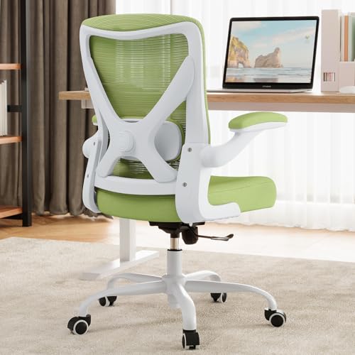 Ergalithic Office Chair: Mesh Ergonomic Desk Chair with 3D Lumbar & Swivel - color: Green, size: Pack of 1