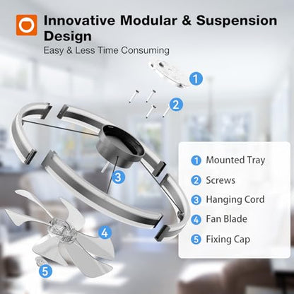 addlon 24" Low Profile Fandelier Ceiling Fans with Lights and Remote, Black - color: Black