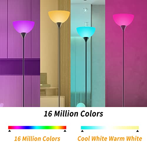 PESRAE RGB Floor Lamp, Stepless Brightness & Color Temperature - color: Matte Black RGB