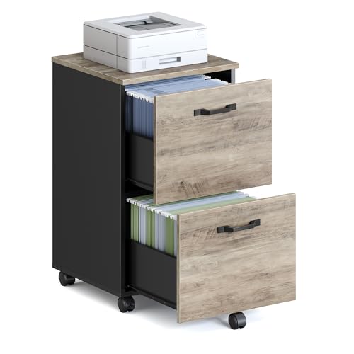 VASAGLE 2-Drawer File Cabinet, Small Rolling Filing Cabinet - color: Heather Greige + Ink Black, style: Classic
