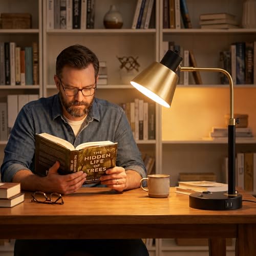 Adjustable Desk Lamp with Dual USB-C/A & AC Outlet 340° Swivel Lamp Head - style: Modern 1