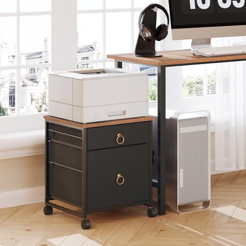 HOOBRO File Cabinet, 2-Drawer Vertical Mobile Office Cabinet, Rolling Printer Stand, for A4/Letter Size Files, Nonwovens Drawer, for Home Office, Rustic Brown and Black BFK21WJ01 - color: Black + Rustic Brown