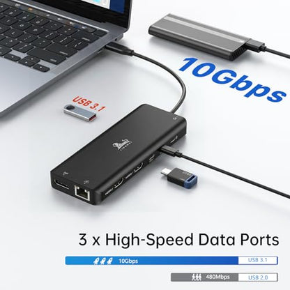 13-in-1 Docking Station Dual Monitor 4K, LIONWEI USB C Dock for Laptop Mac - color: Black-13 IN 1(2 HDMI+DP)