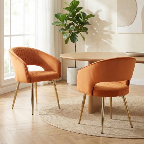 Modern Velvet Dining Chairs Set of 2, Upholstered Gold Dining Room Chairs with Hollow Back, Accent Armrest Kitchen Chairs with Gold Legs for Living Room Reception Orange - color: Orange