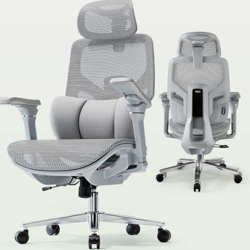 S9 Ergonomic Office Chair 3-Zone Lumbar Support for Back Pain Relief - color: Cloudtech Grey