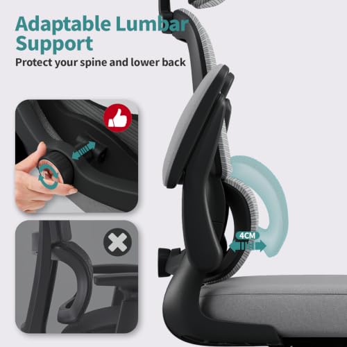 TRALT Office Chair Ergonomic Desk Chair - Gaming Chair with Lumbar Support - color: Black Grey