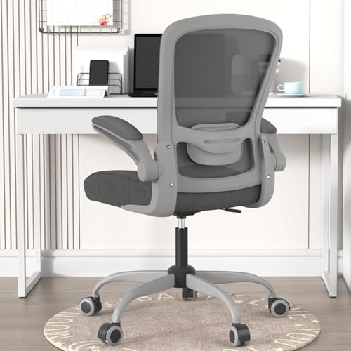 Ergonomic Office Chair w/Adjustable Lumbar, Flip Armrest, 135° Recline - color: Iron Gray With Gray Frame