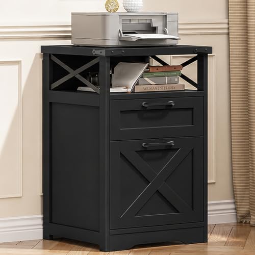 Vabches Office Filing Vertical Cabinet with 2 Drawers, Black | Farmhouse Filing Cabinet with Open Storage Space and Printer Stand for Hanging Files Letter/A4 for Home Office. - color: Black, style: Vertical