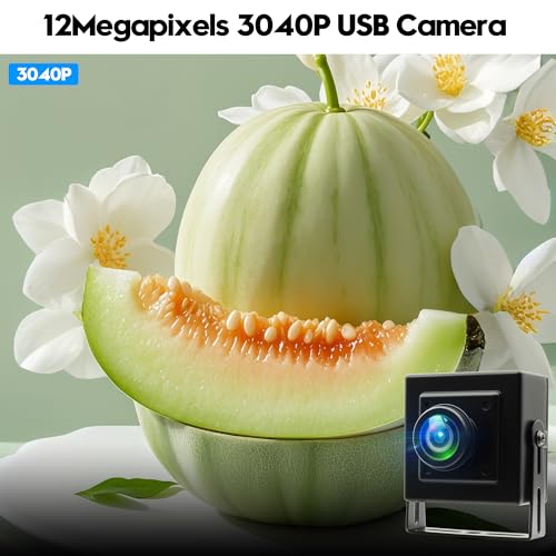 120fps USB Camera 12Megapixel High Speed Starlight Lightburn Low Illumination Slow Motion 4K Webcam with 185Degree Fisheye Wide Angle Lens Plug and Play for Inspection Microscope 3D Printer - size: 185 Degree Fisheye Wide Angle Lens
