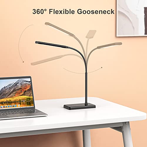 LED Desk Lamp for Office Home, Wireless Charger Desk Lamp - color: Dark Black